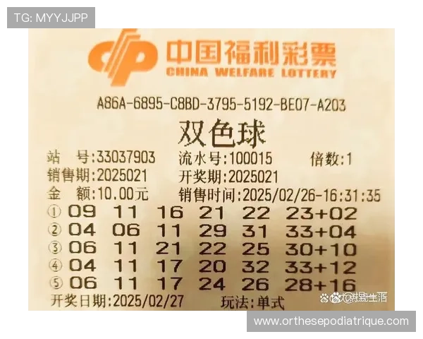 掌握老虎机的基本规律，避免盲目投注提升中奖几率